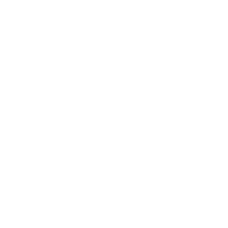 Experience icon
